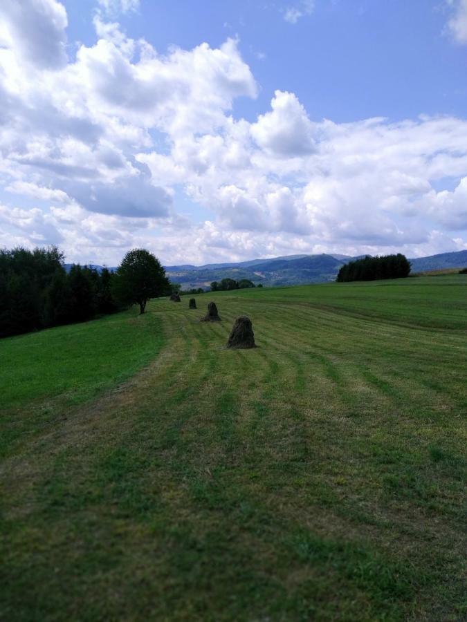 Przy Szlaku *