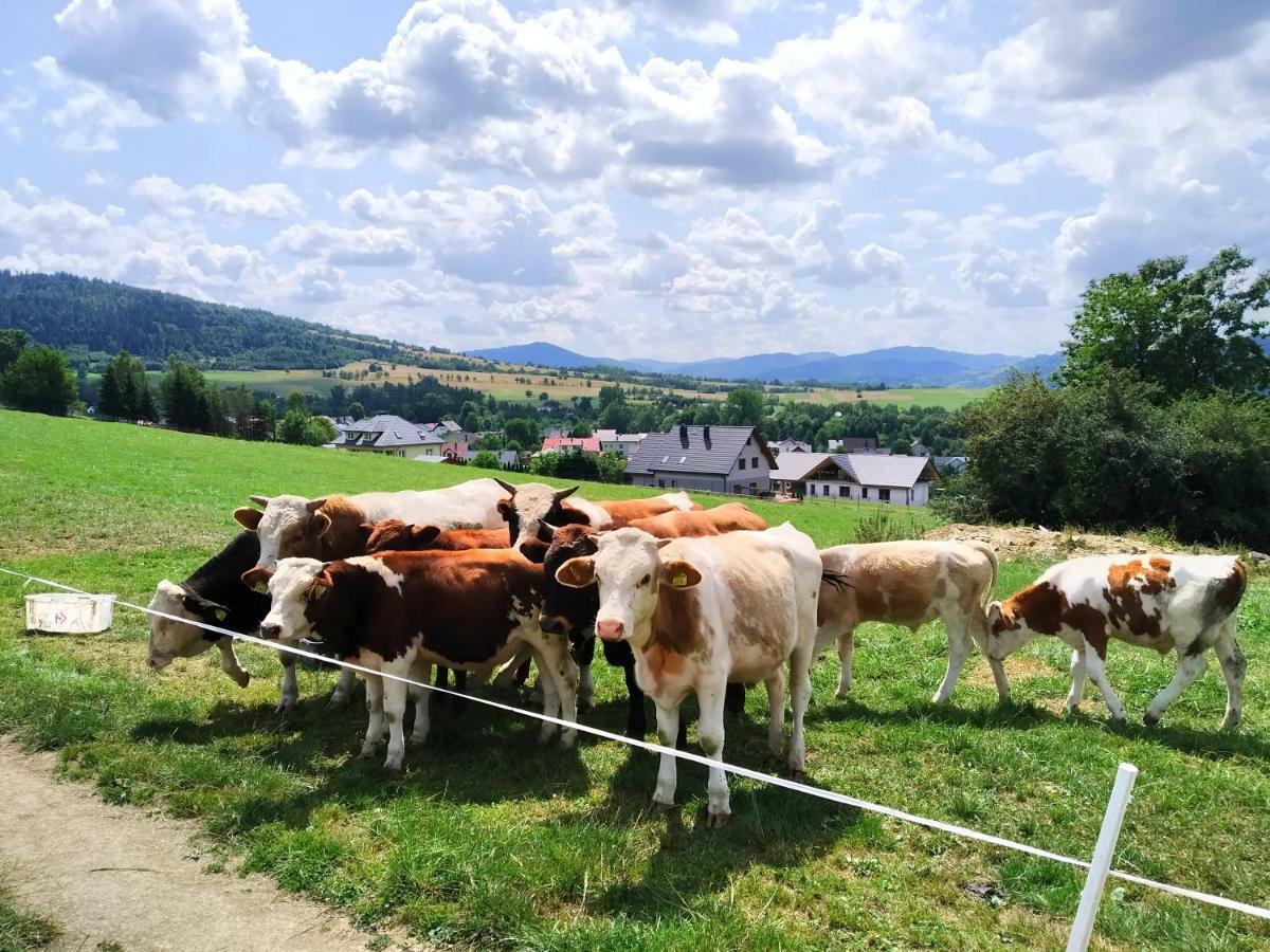 Przy Szlaku Homestay *